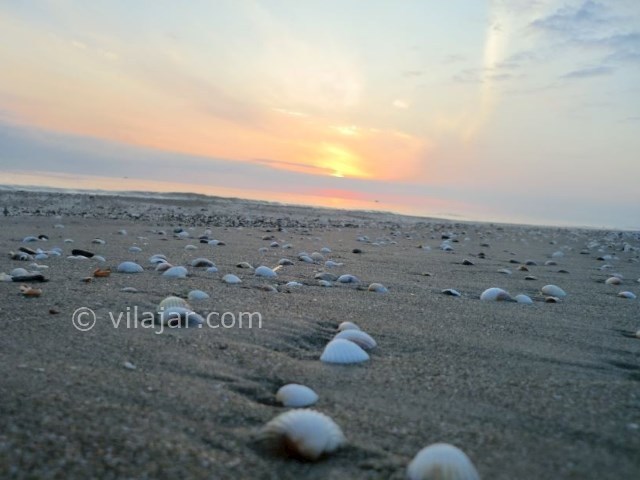 عکس شماره 3 - پارک جنگلی ساحلی گیسوم