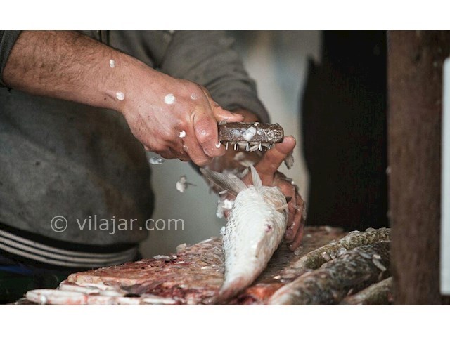 عکس شماره 4 - بازار ماهی فریدون کنار