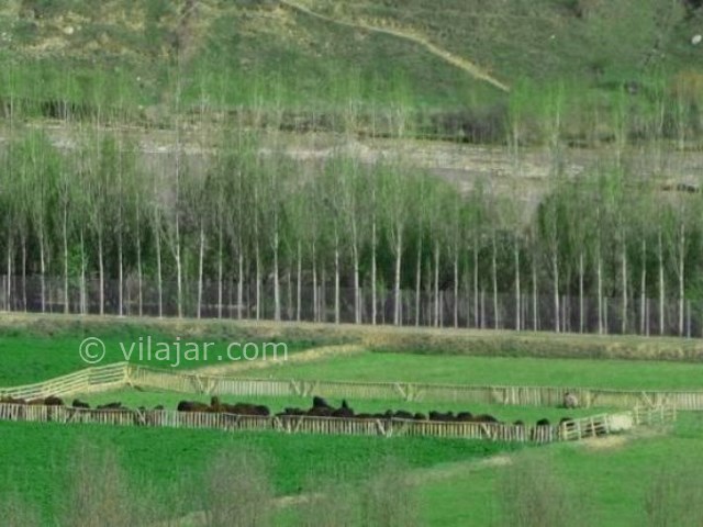 عکس اصلی شماره 2 - روستای ایستا در طالقان