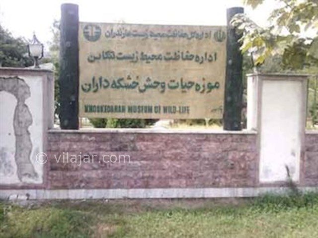 عکس شماره 3 - موزه حیات وحش خشکه داران