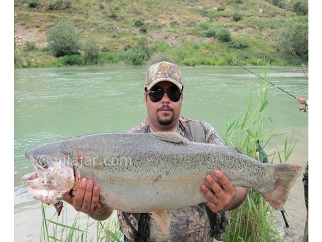 عکس شماره 5 - دریاچه امامزاده علی (پشنگ)