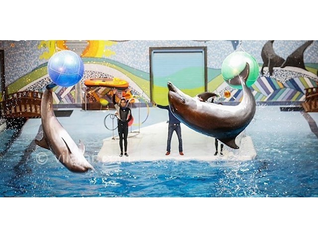 عکس شماره 3 - پارک دلفین برج میلاد تهران