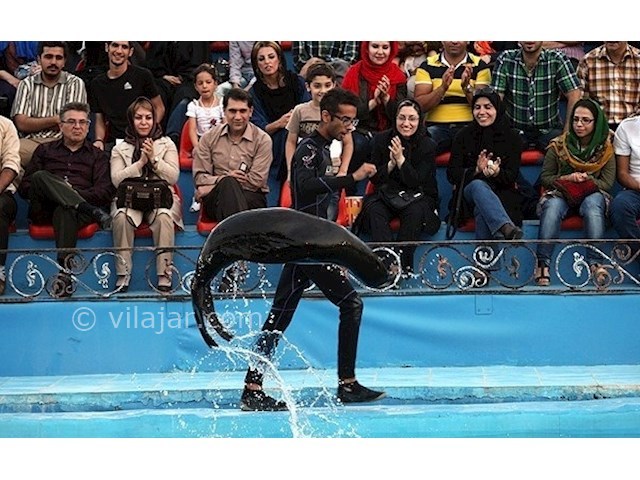 عکس شماره 5 - پارک دلفین برج میلاد تهران