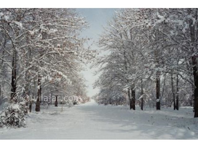 عکس شماره 4 - باغ گیاه شناسی ملی ایران