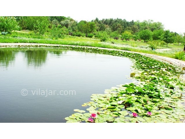 عکس شماره 5 - باغ گیاه شناسی ملی ایران