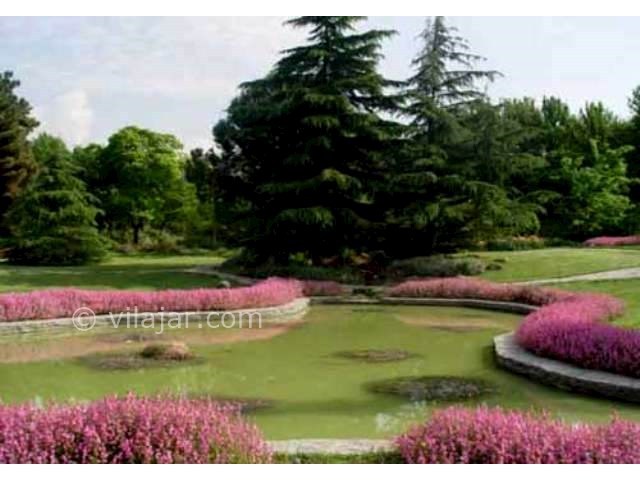 عکس شماره 7 - باغ گیاه شناسی ملی ایران