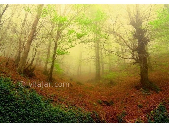 عکس شماره 4 - لیلا کوه لنگرود