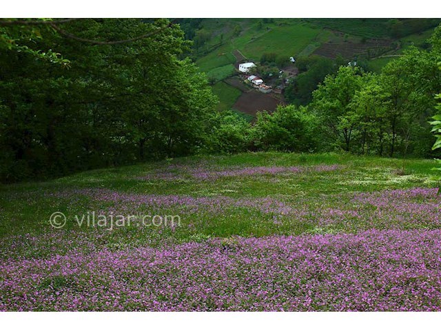 عکس شماره 3 - روستای گیلده