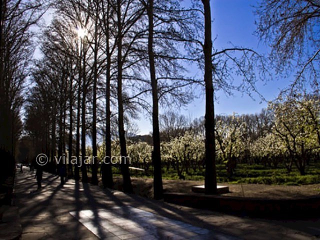 عکس شماره 5 - باغ فاتح (پارک تنیس) کرج