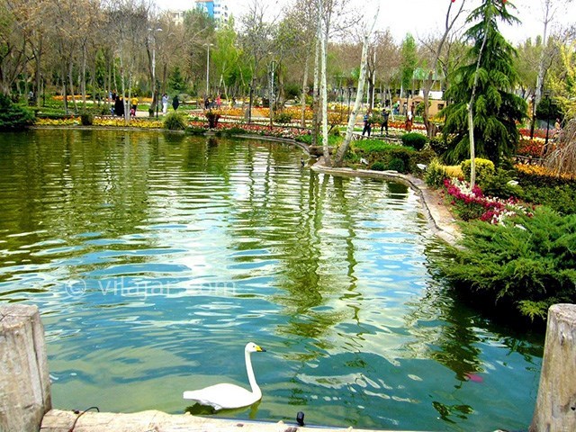 عکس اصلی شماره 2 - باغ گلها (پارک چمران) در کرج