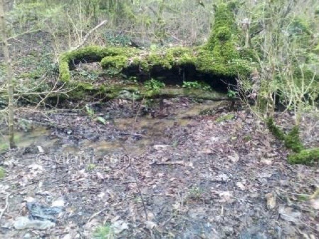 عکس شماره 3 - چشمه گردوک نوشهر