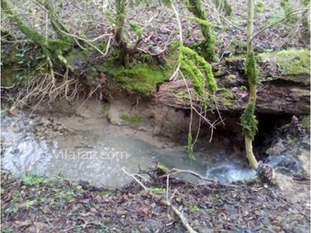 عکس شماره 4 - چشمه گردوک نوشهر