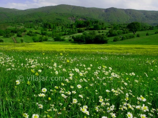عکس شماره 4 - روستا بره سر و دریاچه ویستان