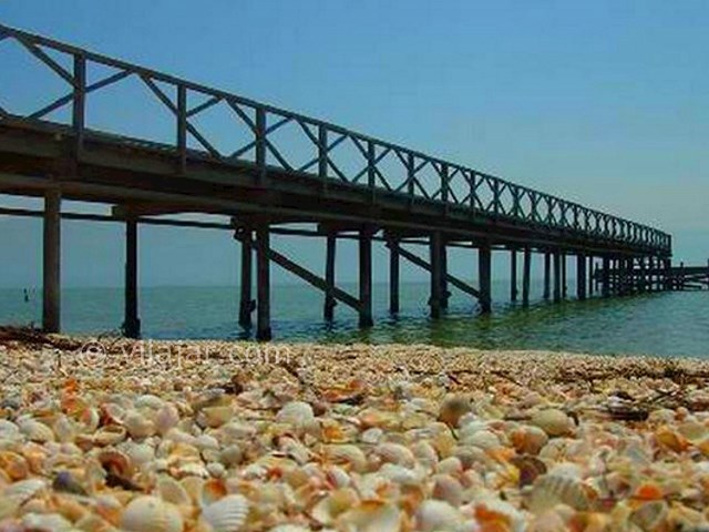 عکس شماره 4 - جزیره آشوراده در بندر ترکمن