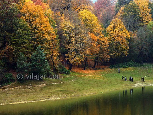 عکس شماره 3 - جنگل ناهار خوران گرگان