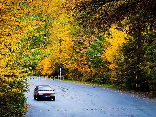 عکس شماره 4 - جنگل ناهار خوران گرگان