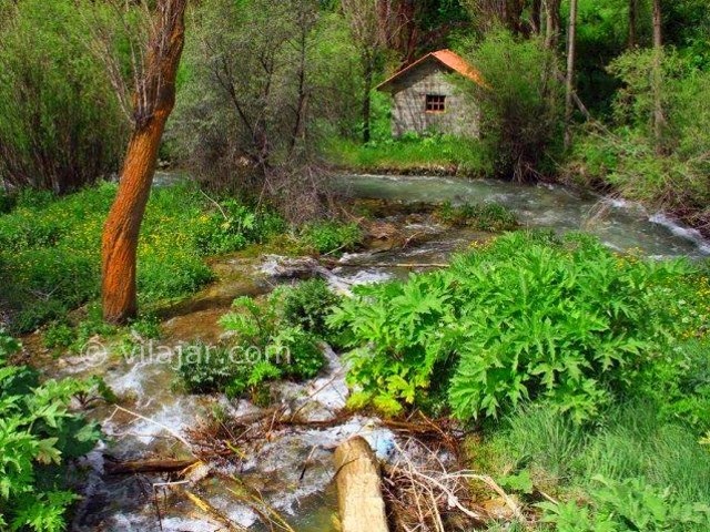 عکس اصلی شماره 1 - روستای شهرستانک جاده چالوس