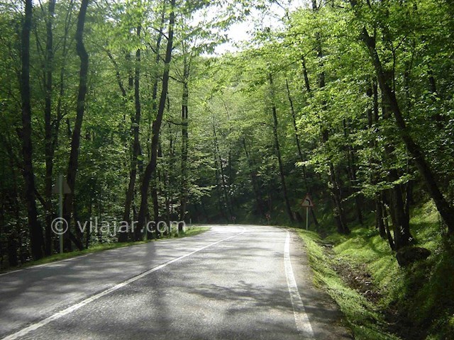 عکس شماره 5 - ییلاق جواهرده رامسر