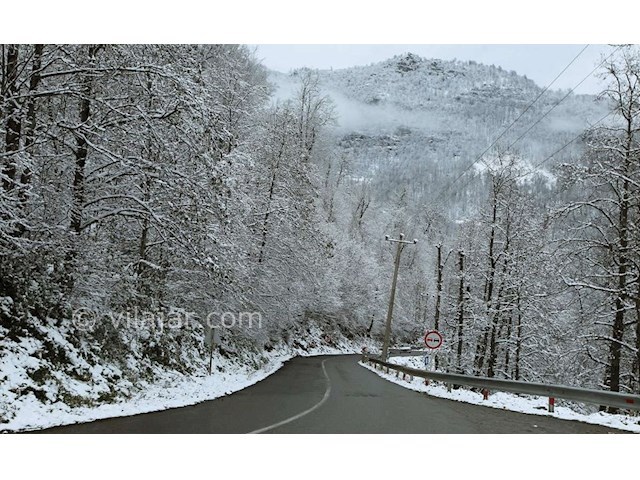 عکس شماره 6 - ییلاق جواهرده رامسر