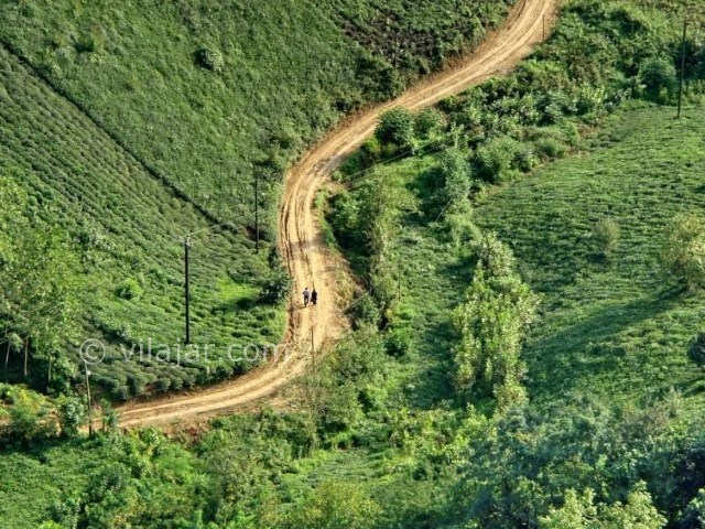 عکس شماره 6 - شیطان کوه در لاهیجان