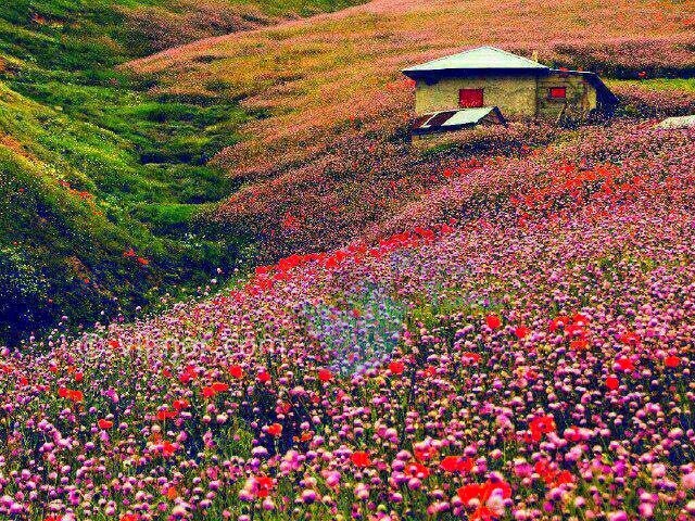 عکس شماره 11 - جاده اسالم به خلخال