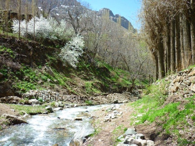 عکس شماره 3 - آبشار سنج در جاده چالوس