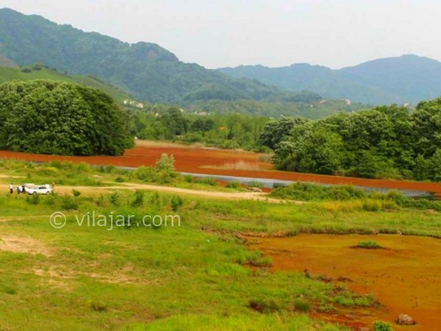 عکس شماره 3 - تالاب سوستان در لاهیجان