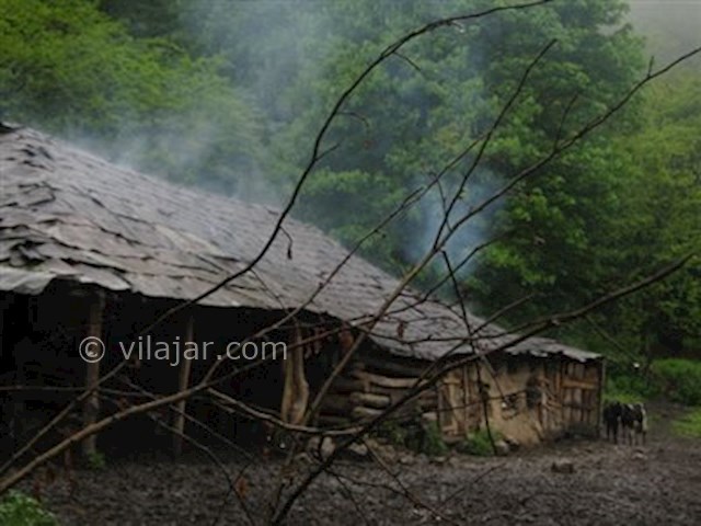 عکس شماره 4 - پارک جنگلی جوارم