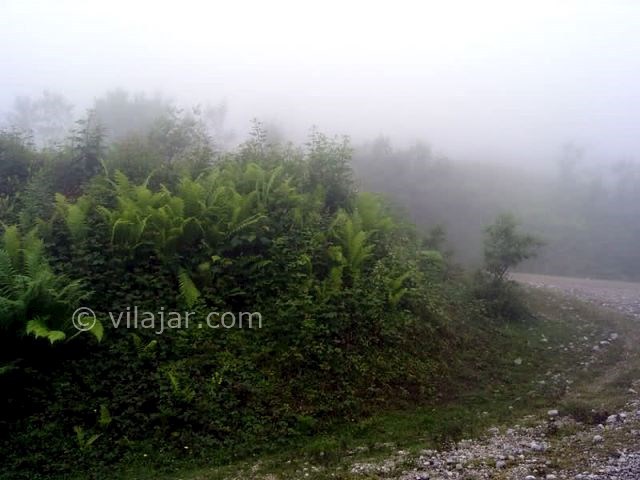 عکس شماره 5 - پارک جنگلی جوارم