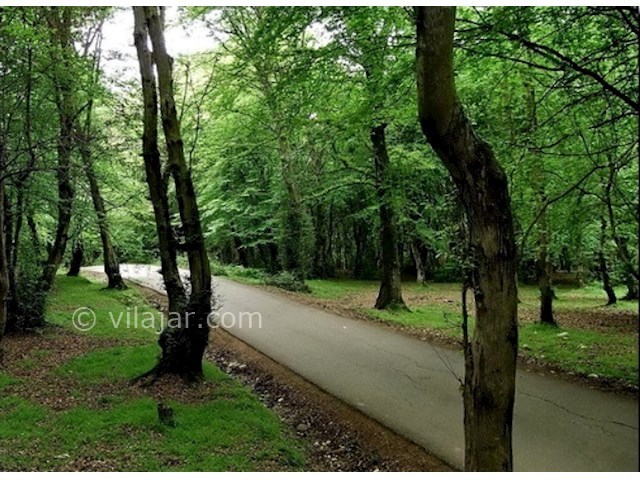 عکس شماره 6 - پارک جنگلی جوارم