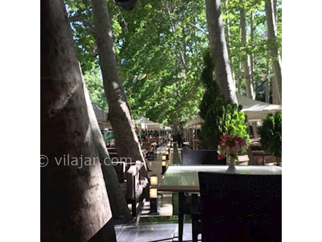 عکس شماره 3 - رستوران ارکیده در جاده چالوس