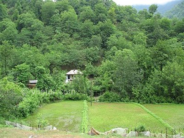 عکس شماره 3 - روستای شیاده