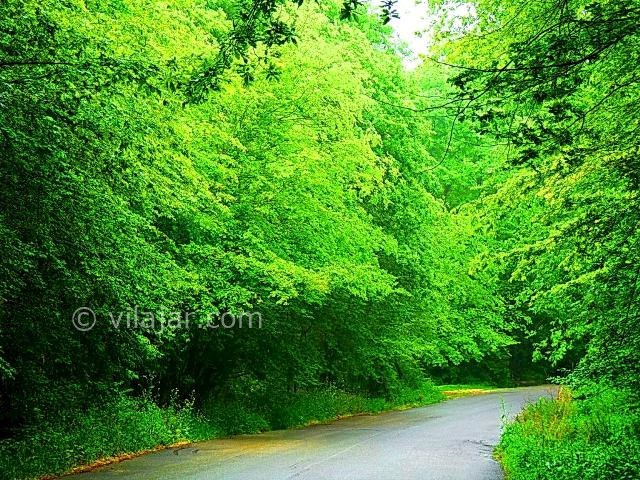 عکس شماره 3 - پناهگاه حیات وحش سمسکنده