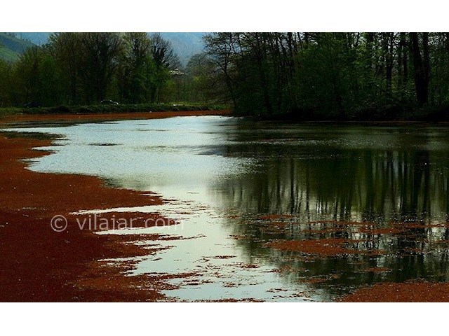 عکس شماره 3 - تالاب سوستان