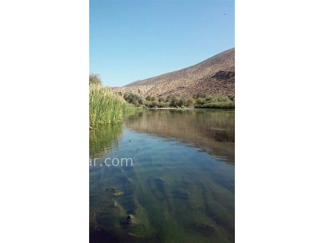 عکس شماره 4 - تالاب سوستان