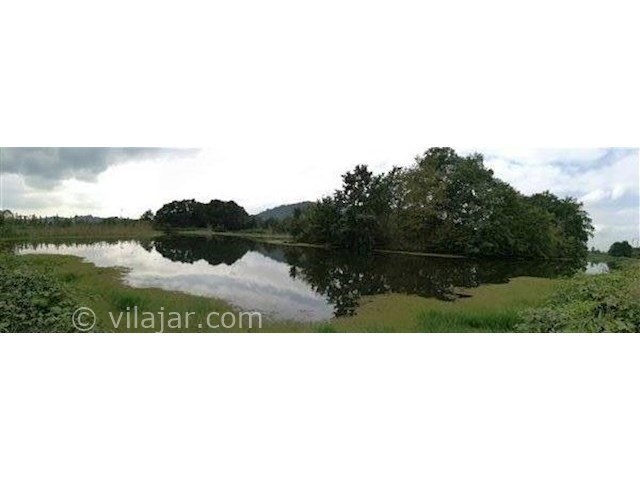 عکس شماره 5 - تالاب سوستان