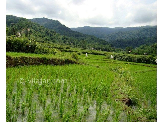 عکس شماره 3 - روستای چی چی نی کوتی