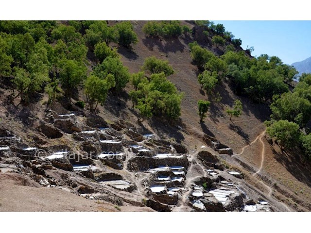 عکس شماره 9 - روستای سر آقا سید