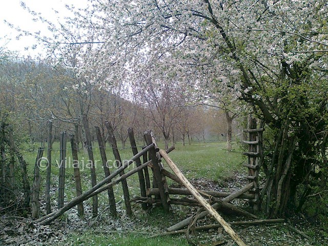 عکس شماره 12 - شهرک نمک آبرود کجاست؟