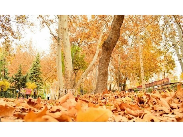 عکس شماره 4 - جاذبه های گردشگری محلات