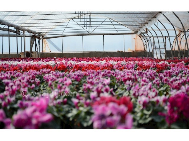 عکس شماره 8 - جاذبه های گردشگری محلات