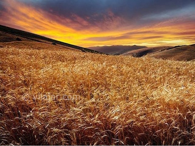 عکس شماره 4 - کوه و دریاچه دالامپر