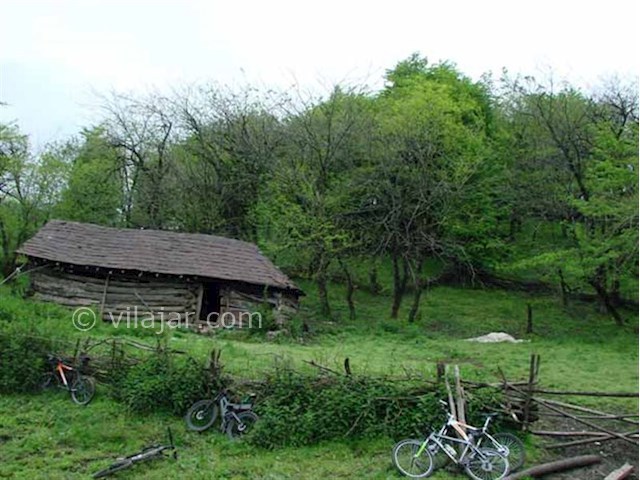 عکس شماره 3 - جنگل و آبشار پلنگ دره