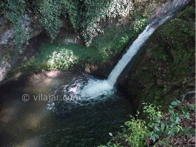 عکس شماره 5 - جنگل و آبشار پلنگ دره
