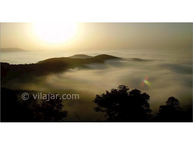 عکس شماره 3 - جنگل ابر شاهرود