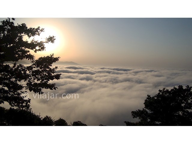 عکس شماره 4 - جنگل ابر شاهرود