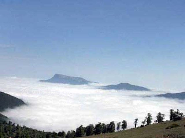 عکس شماره 5 - جنگل ابر شاهرود