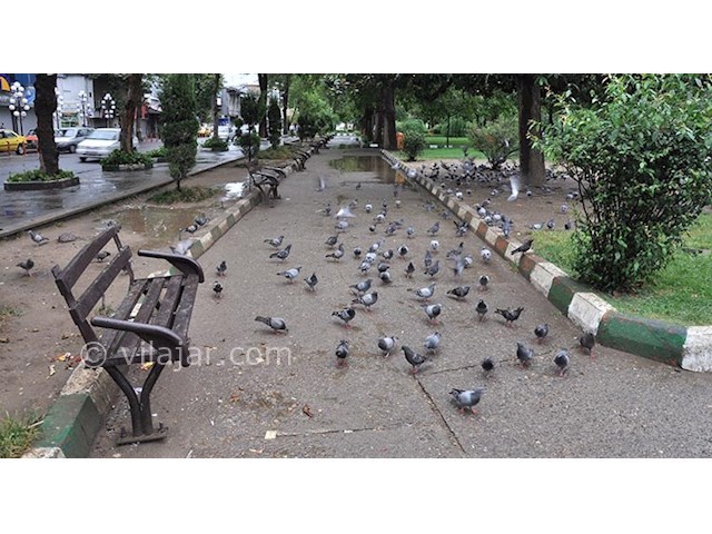 عکس شماره 3 - سبزه میدان رشت
