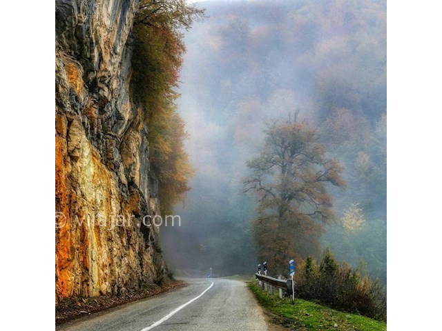 عکس شماره 8 - جنگل دالخانی رامسر کجاست؟