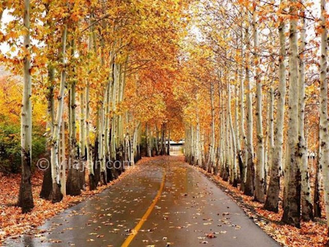 عکس شماره 3 - پارک جنگلی ناژوان